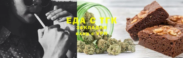 индика Аркадак