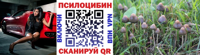 Псилоцибиновые грибы GOLDEN TEACHER  мориарти как зайти  Курган 