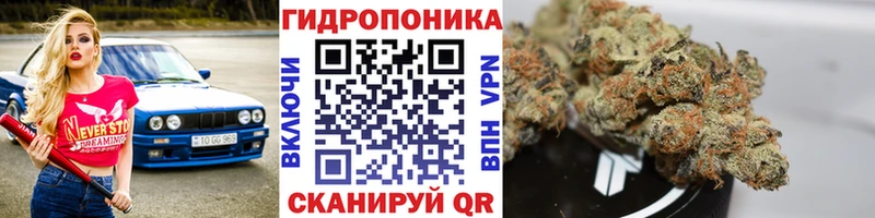 купить закладку Курган Канабис ГИДРОПОН